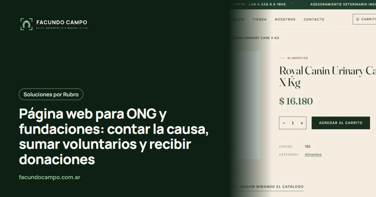 Página web para ONG y fundaciones: contar la causa, sumar voluntarios y recibir donaciones